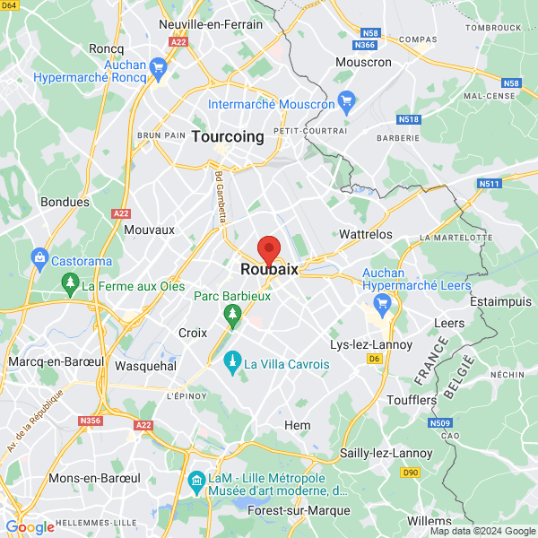 google map